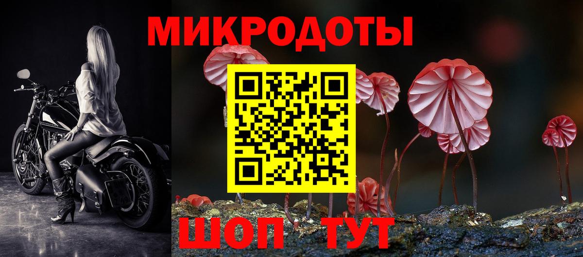 Псилоцибиновые грибы MAGIC MUSHROOMS  Вход с VPN  Псилоцибиновые грибы GOLDEN TEACHER  где можно купить наркотик  Мурманск 
