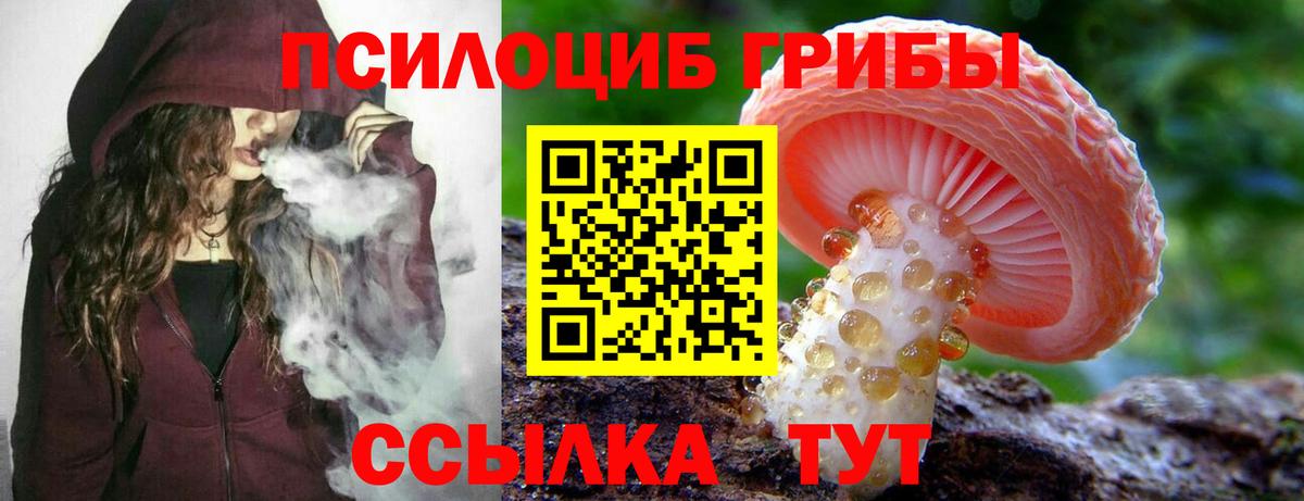 Псилоцибиновые грибы GOLDEN TEACHER Мурманск